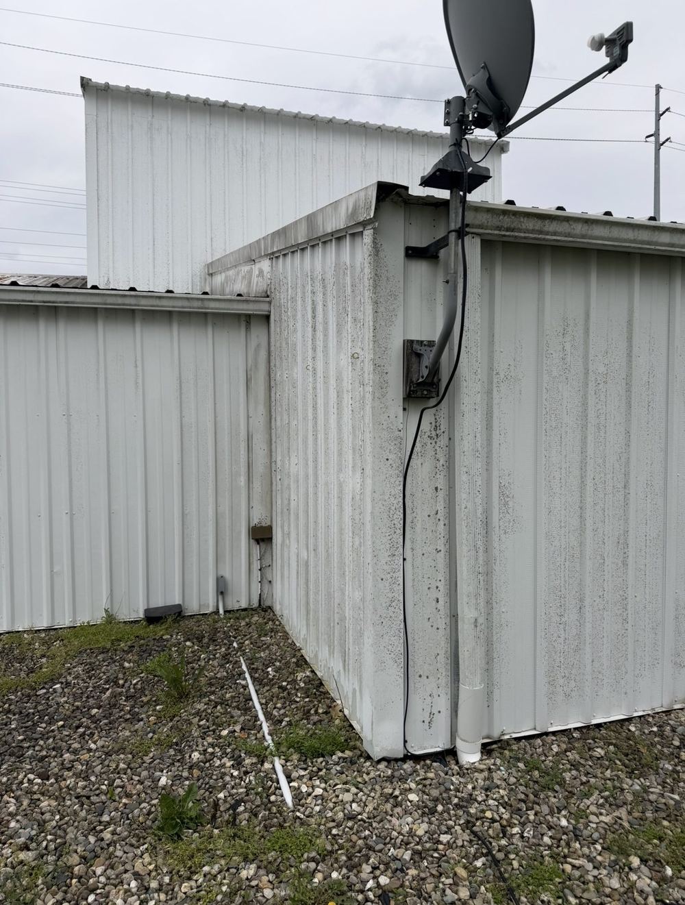 Metal siding covered in black mold and algae streaking before soft washing