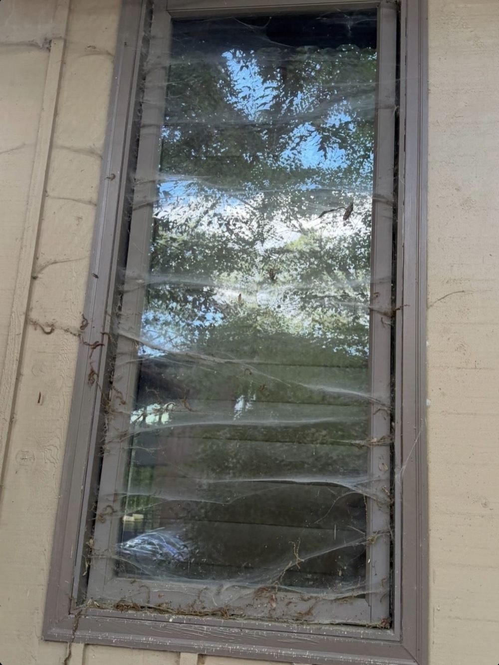 Dirty exterior window covered in cobwebs and debris before cleaning
